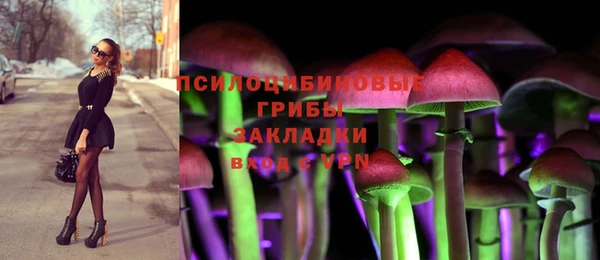 мдпв Магас