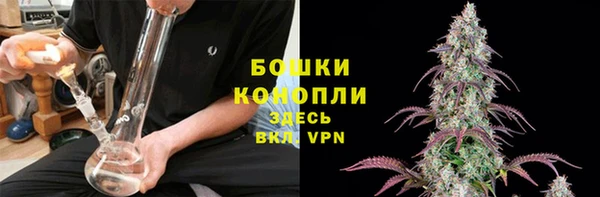 мдпв Магас
