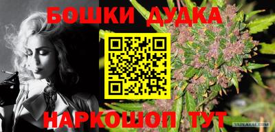 apvp Можга