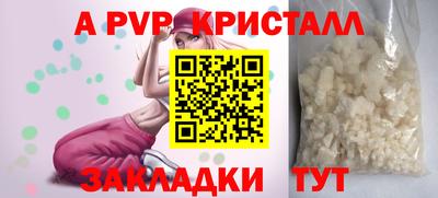 apvp Можга