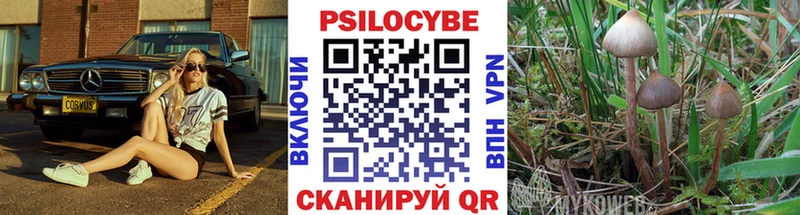 закладка  Светлоград  кракен онион  Галлюциногенные грибы MAGIC MUSHROOMS 