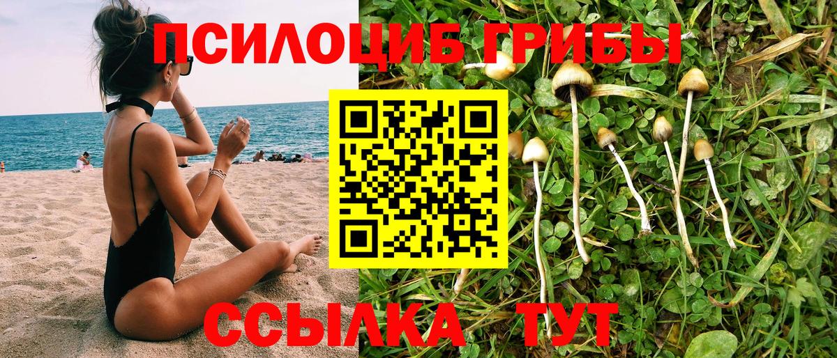 Галлюциногенные грибы мицелий Светлоград
